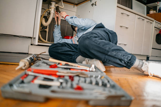 Best Local Plumber Services  in Winchester, NV