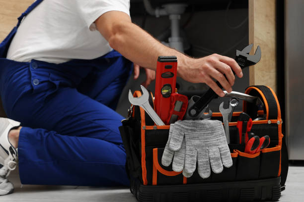 Best Commercial Plumbing Services  in Winchester, NV